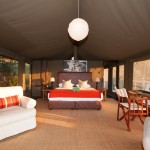 m_Safari Tent 1