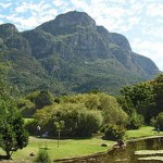 130816_kirstenbosch_02