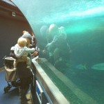 130917_aquarium_01