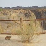 Augrabie Falls – Dassie