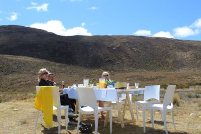 Aktiv durch das Land am Kap: Südafrika auf Fahrrad-Safaris erkunden