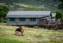 Das Babanango Game Reserve in Südafrika setzt auf mehrtägige Walking Safaris