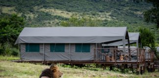 Das Babanango Game Reserve in Südafrika setzt auf mehrtägige Walking Safaris
